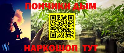 молекула духа Жуковский