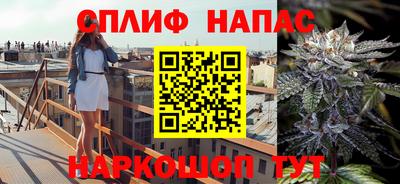 молекула духа Жуковский