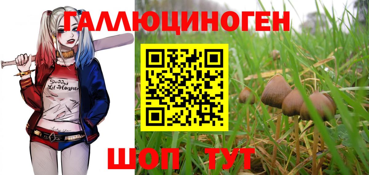 Галлюциногенные грибы MAGIC MUSHROOMS Карабулак