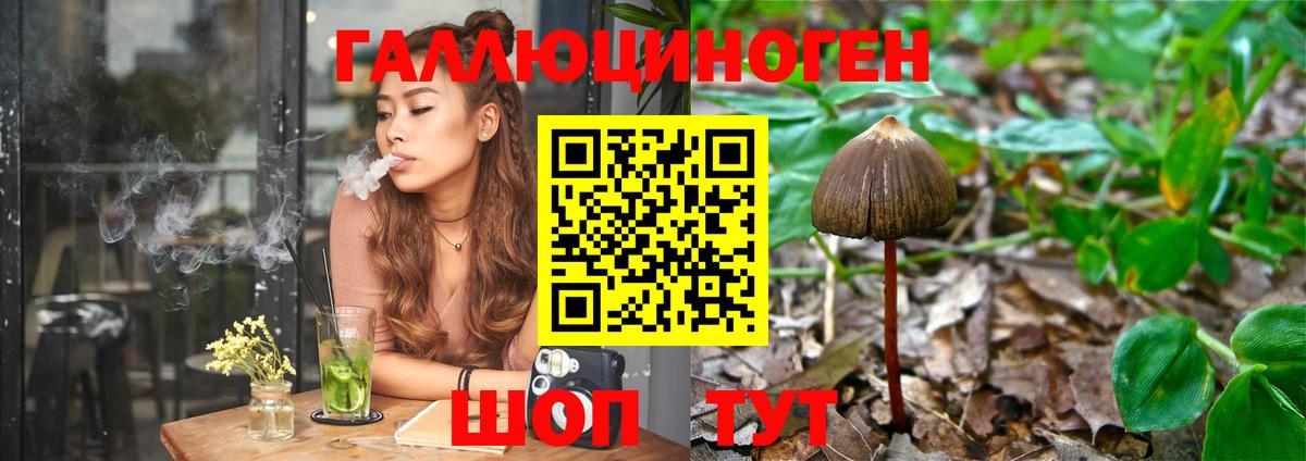 где купить наркоту  Псилоцибиновые грибы Psilocybine cubensis  Вход с VPN  Карабулак 
